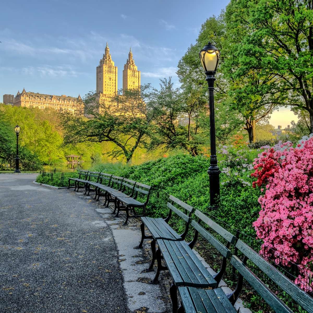 Best Parks in New York City